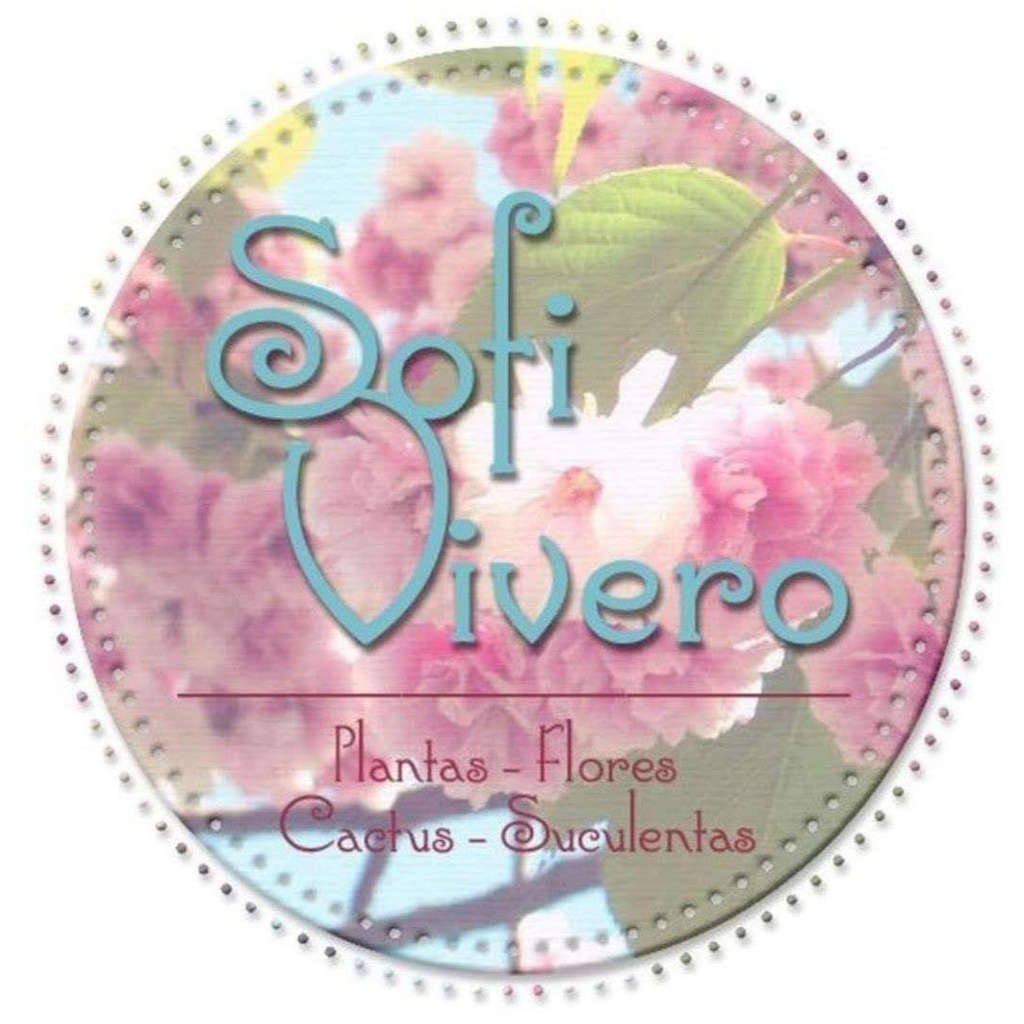 sofivivero-logo-1024